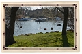 28 03 12_8815_edited-1